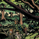Illustration for article titled In this exclusive preview of Kill Shakespeare, Iago and Othello duke it out (again)